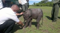 Moyo meeting his Captain
